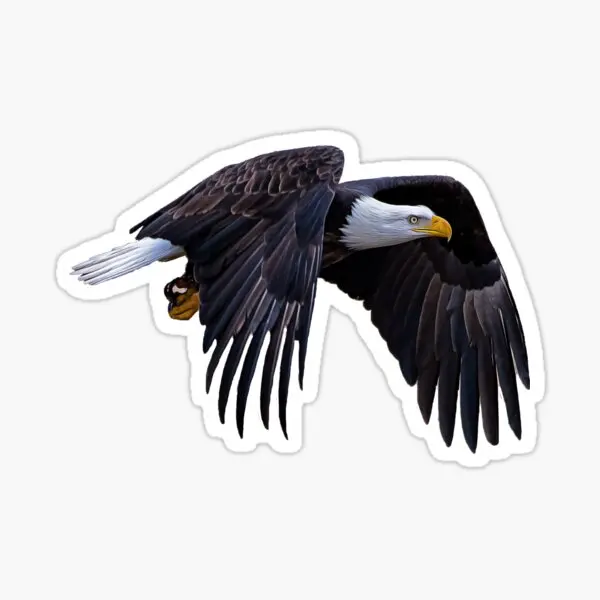 

Car Eagle Auto Sticker for Bonding Sticker 17CM zz3