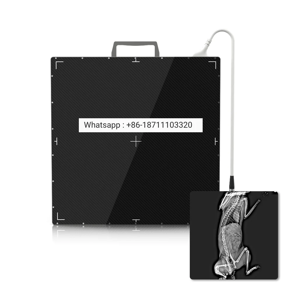 Рисунок 3 - Детектор рентгеновских снимков