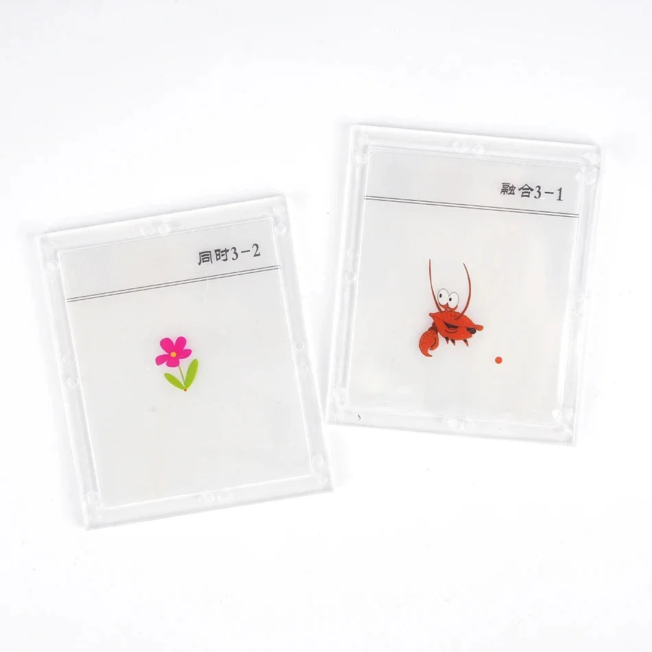 Оптометрическое оборудование 115 офтальмологический Синопсис