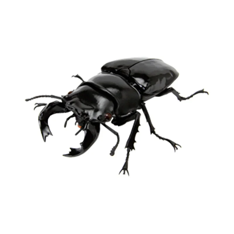 Украшения витые лопатки в виде насекомых Жуков ножей моделирование Longox модель