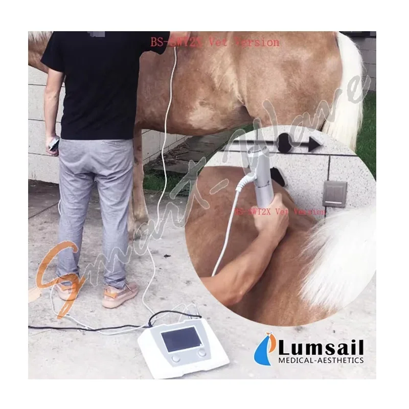 Портативная ударно-волновая машина для ударно-волновой терапии лошадей/люней