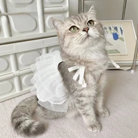 original pet cat suspender skirt dog cute princess mesh skirt camisole clothes summer