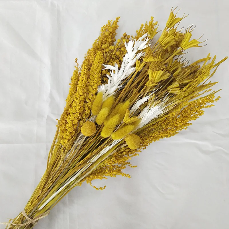 

Домашний декор для гостиной, украшение для комнаты в стиле бохо, зеркальная смесь семян, овса