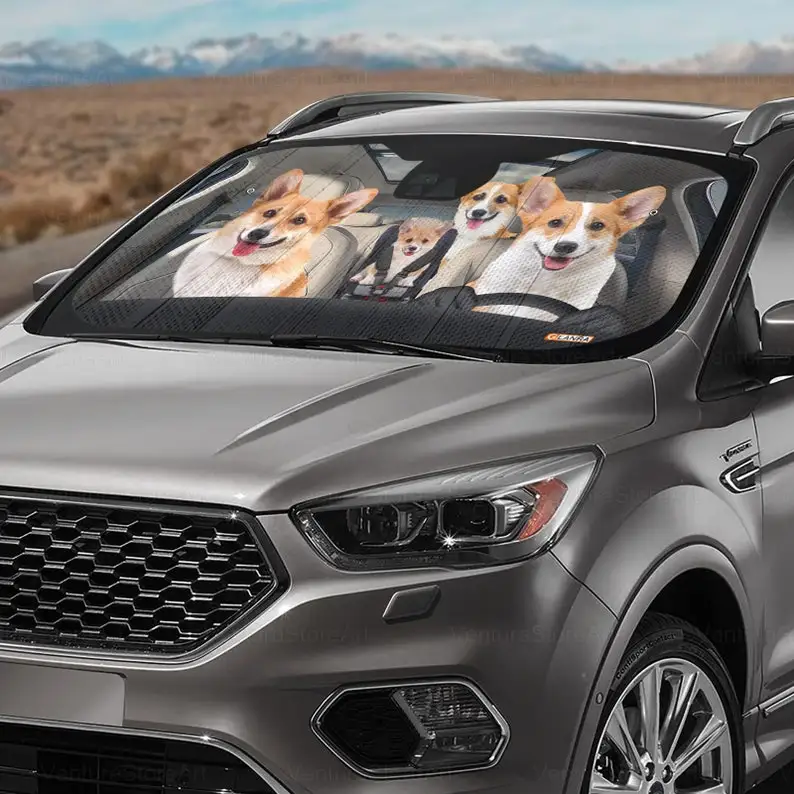Рисунок 5 - Автомобильный солнцезащитный козырек Corgi