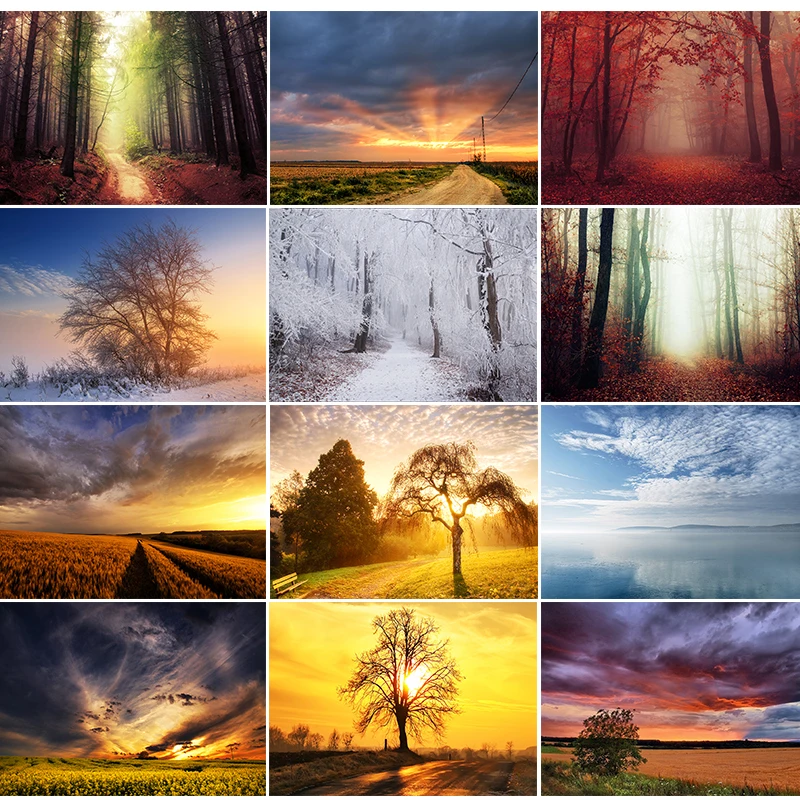 

5D DIY Diamond Painting Landscape Sunset Tree Kit Full Diamond Square Embroidery Mosaic Art Picture Rhinestone Home Decor Gift