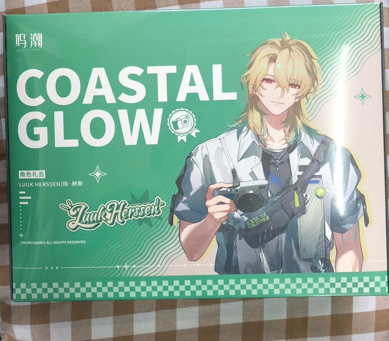 В наличии: Официальный акриловый брелок-подвеска Wuthering Waves GOASTAL GLOW, новая коллаборация Aemeath Sigrika LUUK HERSSEN, подарочная коробка (art.: 3920da6131927) - 3920da6131927