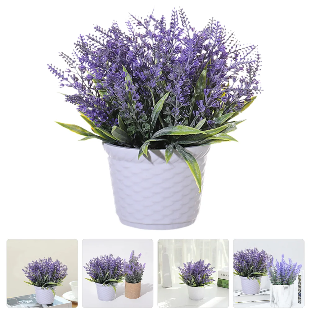 Лаванда Купить Цветы Живые