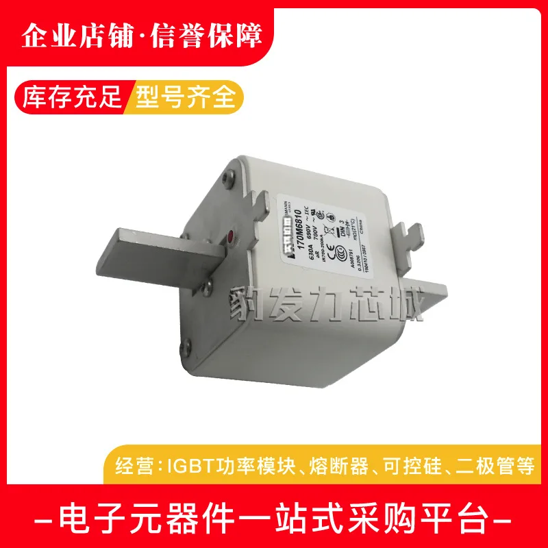 170M6738 170M6739 170M6740 170M6741/6742/6743/6744 Новый предохранитель