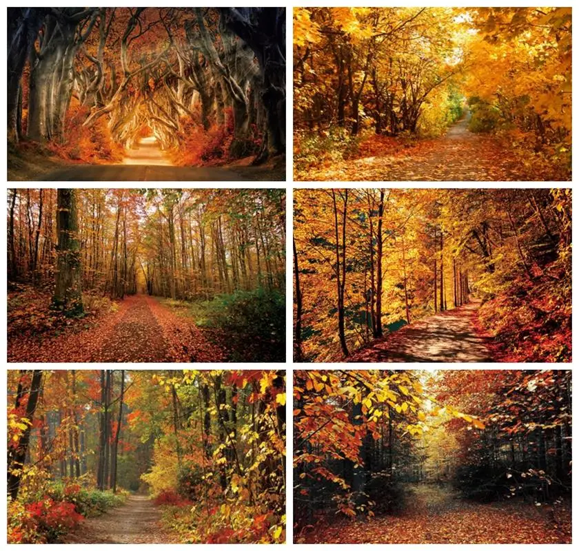 Laeacco Autumn Fallen Leaves Trees Sunshine Photography Backdrops Photographic Backgrounds Portrait Photocall Photo Studio