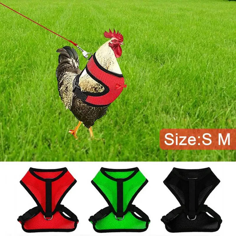 1PC Lightweight Chicken Harness And Leash Pet Training Harness Adjustable Poultry Pet Ducks Harness Pet Supplies