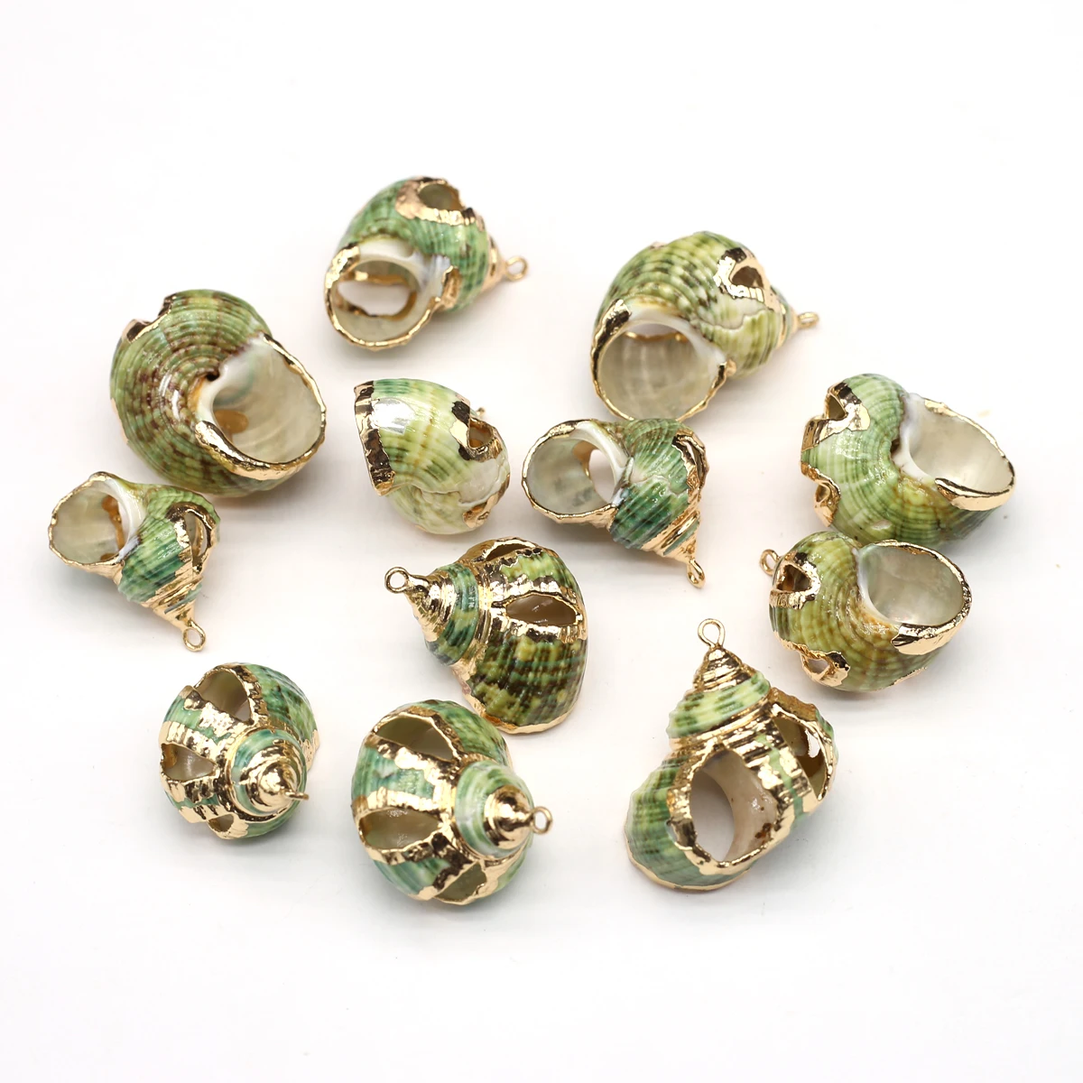 

2Pcs/lot Natural Shell Pendants Green Shells Shellfish Conch Charms For Jewelry Making DIY Women Necklace Earrings Accessories