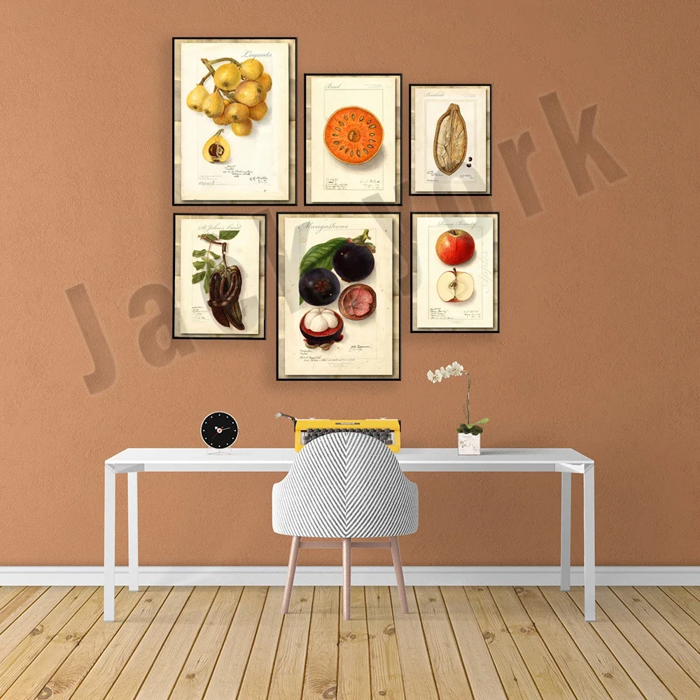Vintage Watercolor Apple Loquat Mangosteen Baobab Canvas Print Poster Botanical Art Antique Picture Wall Decor Gift