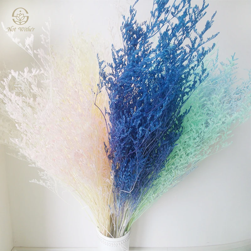 

Natural Preserved Flowers Lovergrass 50-100g Holiday Gifts for Lover Wedding Centerpieces for Tables Bridal Bouquets Wholesale