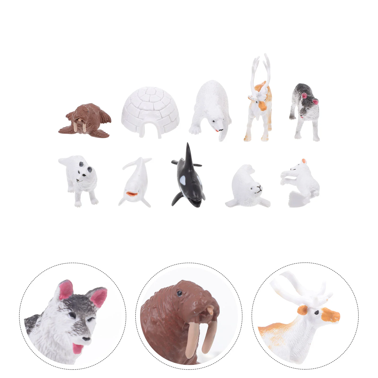 

Animalssimulation North Pole Model Figurineschild Kid Adornment Board Sand Figures Mini Figurine Toys Wolf Fox Arctic Animal