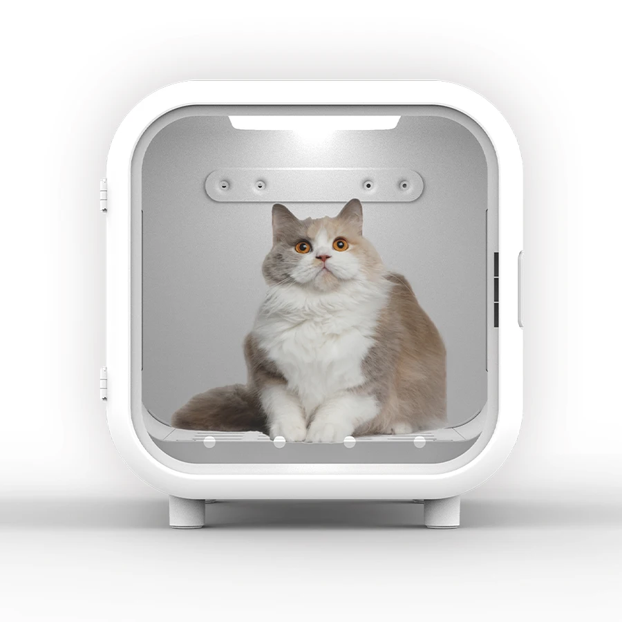 

hypoxia pregnant and weak new-born cats(kitten) dog and so on family pet use veterinary oxygen concentrator with oxygen meter