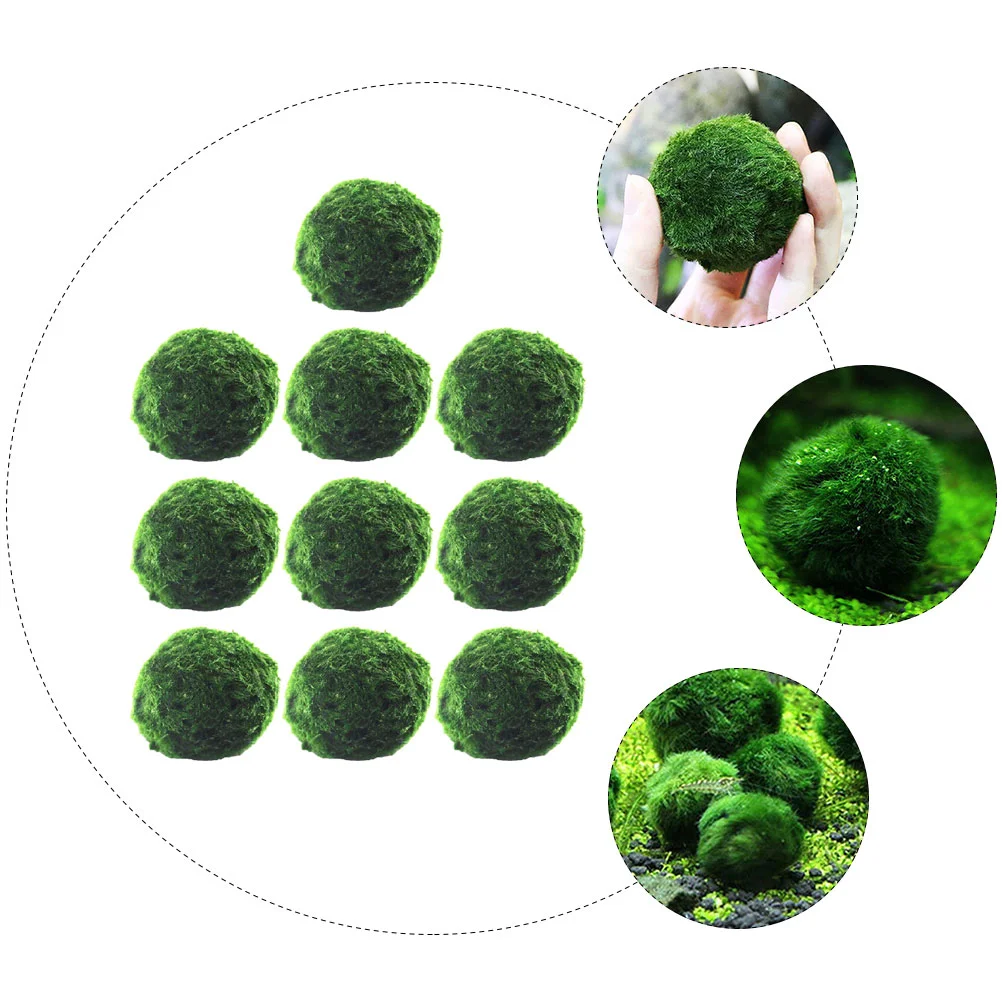10 шт. шарик для водорослей в аквариуме украшение аквариума гидропонные шары