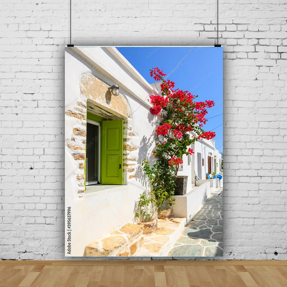 

Flower Pot Seaside Island Scenery and Green Plants Old House White Pigment Wedding Photography Background Prop LJD-06