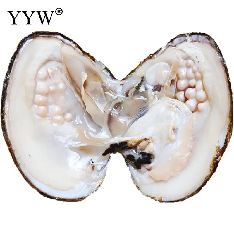 

1pc Vacuum Pack Oyster Wish Freshwater Cultured Love Wish Pearl Oyster Gift Surprise One Pearl Oyster About 10 Pearl