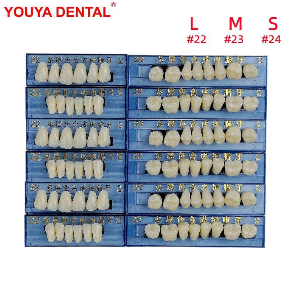 168pcs/box Resin Teeth Denture Upper Lower Shade A2 Dental Teeth Model For Practice    Dentistry Oral Resin False Teeth Full Set