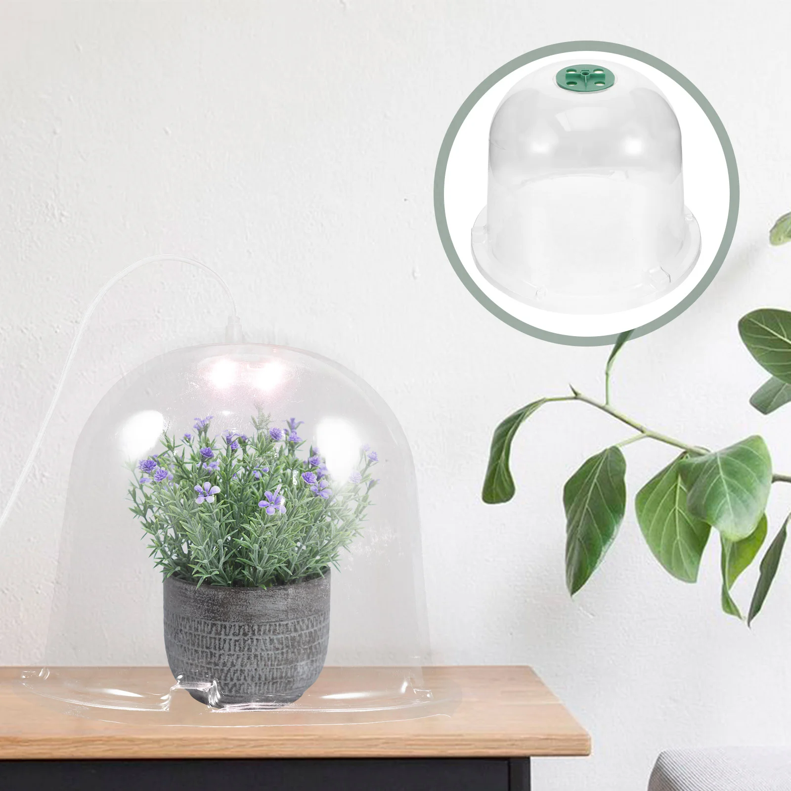 

Protective Cover Humidity Cover and Light Reusable Cover Outdoor Garden Supply