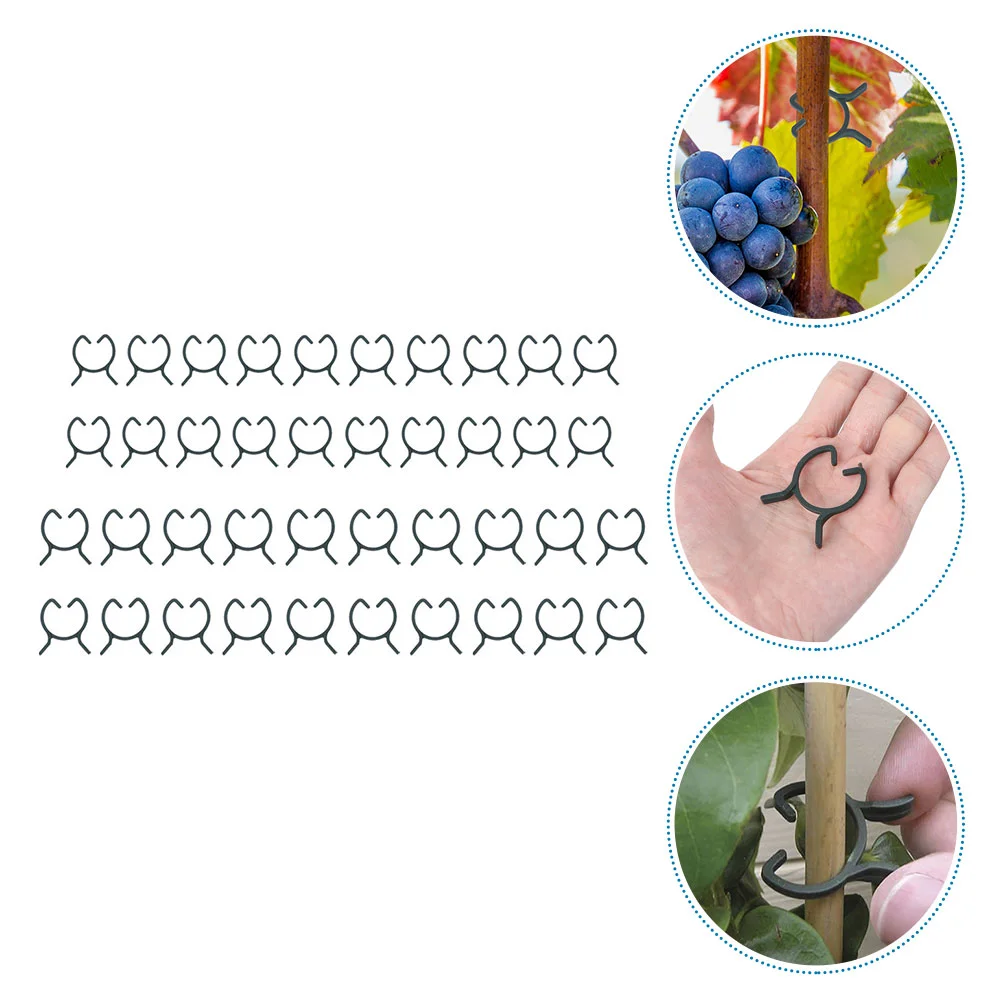 

200pcs Plastic Plant Grafting Clamps Plastic Vine Climbing Clips Flower Stem Straightening Clips