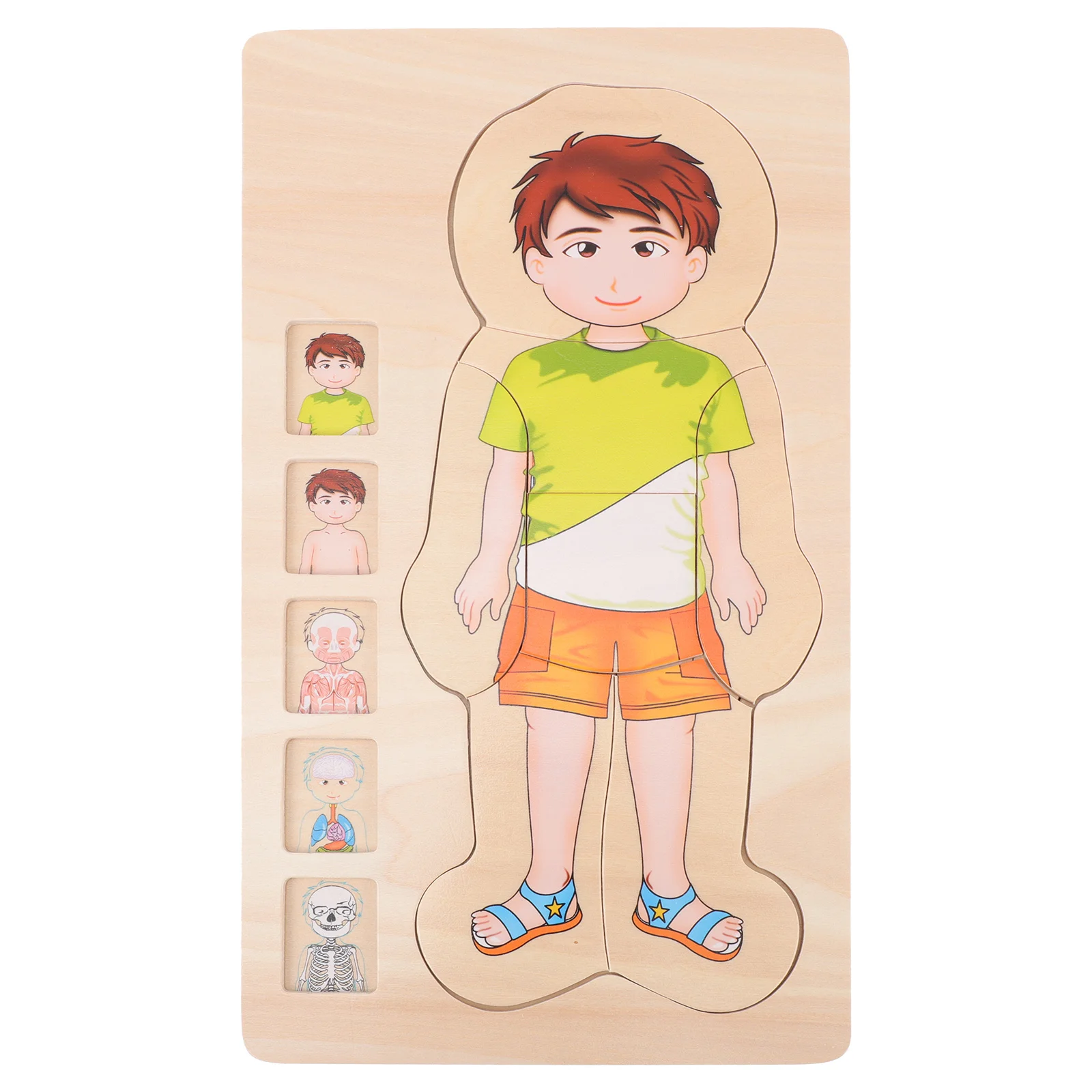 

Kids Shape Sorter Multilayer Puzzle Wooden Puzzles Toddlers Body Structure Cognition Toy