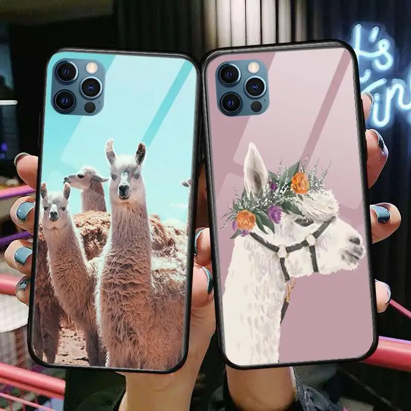 

Lama Llama Alpacas Glass Case For iphone 14 13 12 11 Pro Max 12Pro XS Max XR X 7 8 Plus SE 2020 mini Case Tempered Back Cover