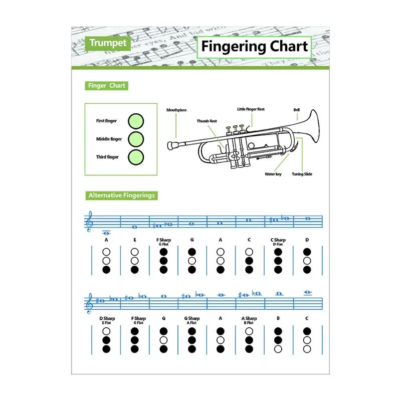 

Trumpet Chord Chart Fingering Chart For Trumpet Portable Clarinet Chord Sheet For Novice Practice Trumpet Practice Chart For