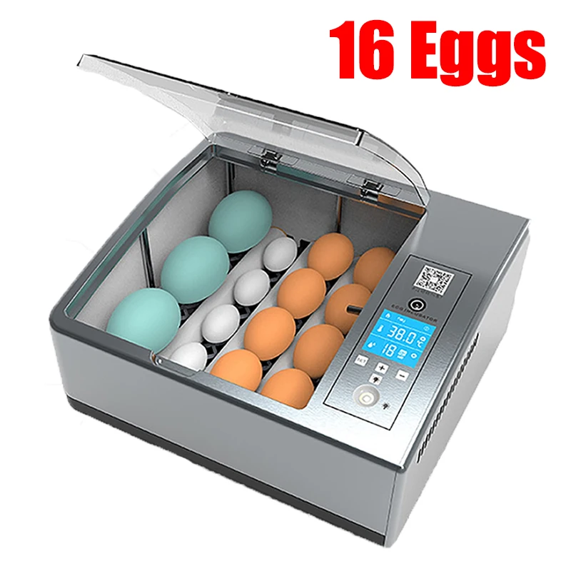 

Bird Automatic Tools Eggs Goose Brooder Incubation Quail Incubator For Chicken Hatchery Display 16 Equipment Incubation