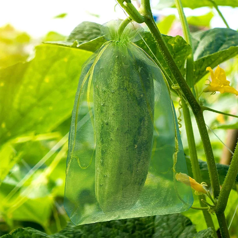 30 шт./набор мешки для защиты фруктов и винограда