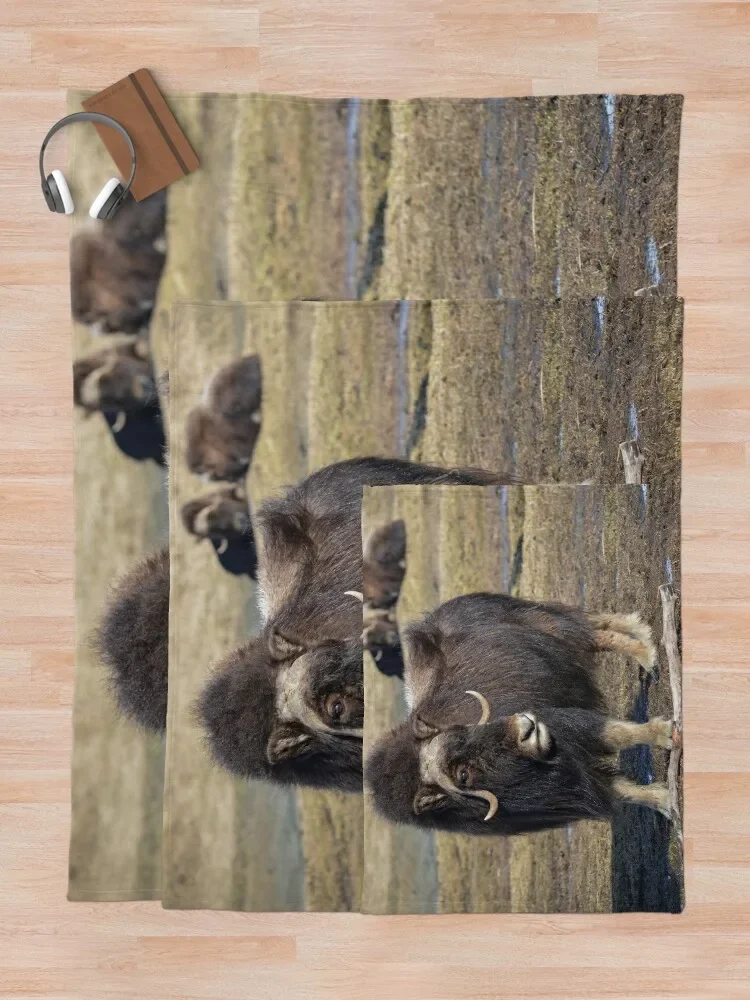 Одеяло Arctic Muskox пушистые мягкие фланелевые одеяла