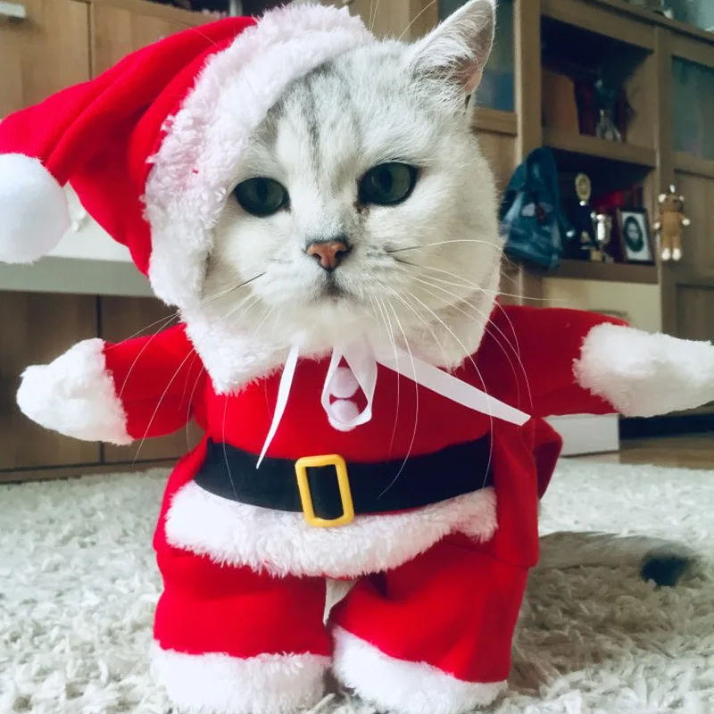 

Женская одежда, костюм Санта Клауса для собаки, зимнее пальто для щенка, кота, куртка, костюм для собаки с шапочкой, теплая одежда для собак и ...