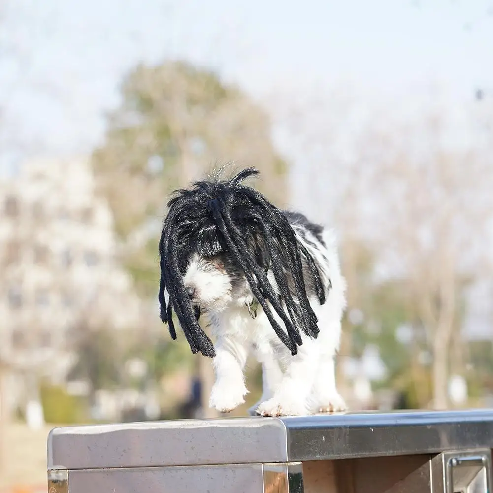

Dreadlocks Cool Pet Dog Cat Wig Costume Black Mane Clown Hat Headgear Dog Accessories Pet Hair Wig Cosplay Cap Wig Long Dog T2R2