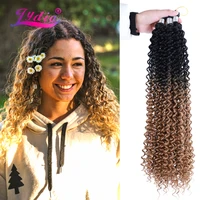 lydia bohemian braid synthetic freetress crochet hair extension 28 ombre color dancing curly bulk water wave hair afro kinky