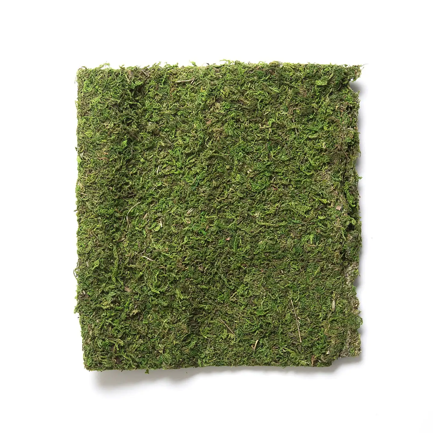 

Decorative Floral Moss Cloth 16 x 18 inches