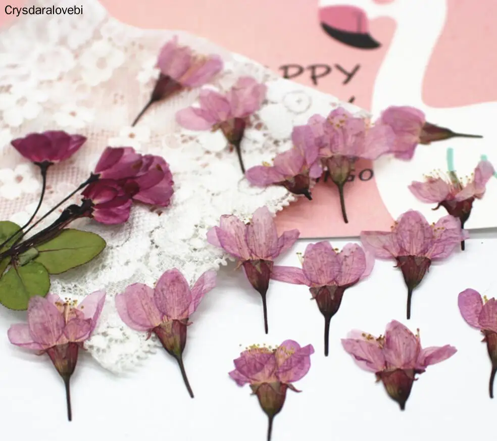 

120pcs Pressed Dried Cherry Sakura Flower Plants Herbarium For Resin Jewelry Making Postcard Frame Phone Case Craft DIY