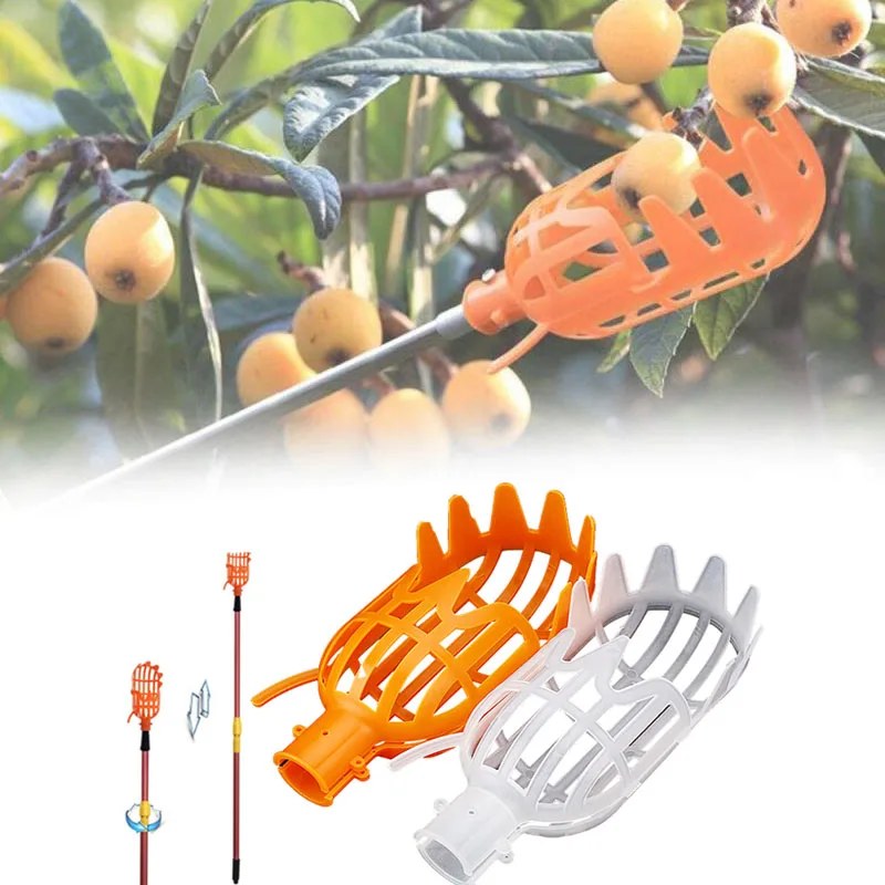 Cesta de jardín con cabezal recolector de frutas, herramienta de recolección de frutas de plástico multicolor, suministros de recolección de Jujube de Bayberry agrícola
