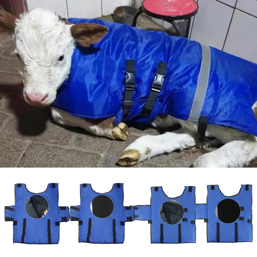 

Calf Blanket Practical Oxford Cloth Waterproof Double-row Buckle Calf Blanket Cow Accessories Calf Vest Calf Coat