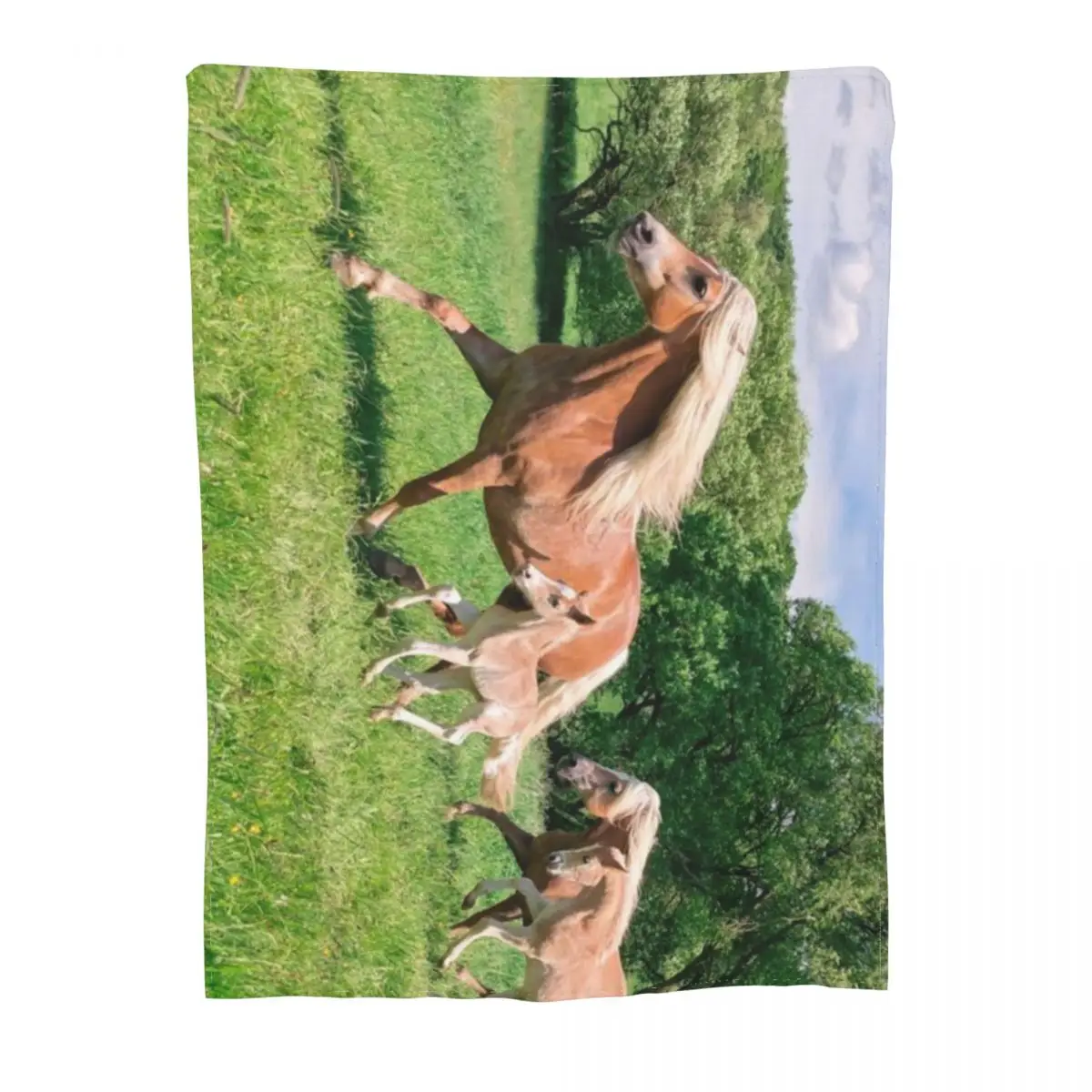 Haflinger лошади работают вместе сверхмягкое Флисовое одеяло