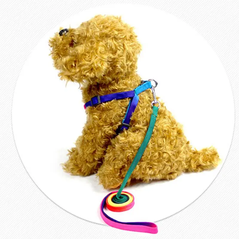 

2023 Pet Dog Leash With Chain Colorful Rope Adjustment Harness Leash Cute Small Dogs Cats Supplies 1.0cm Width