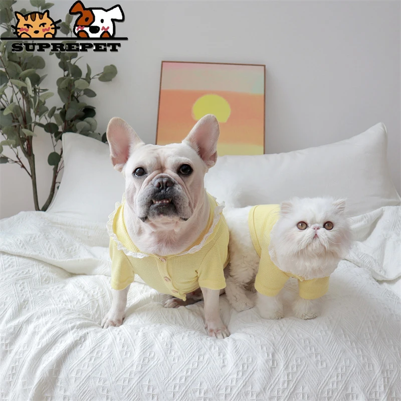

Suprepet Solid Cotton Clothes Breathable Knitted Dog Clothing Comfortable for Cute Dogs Puppy Fashion Pet Accessories Supplier