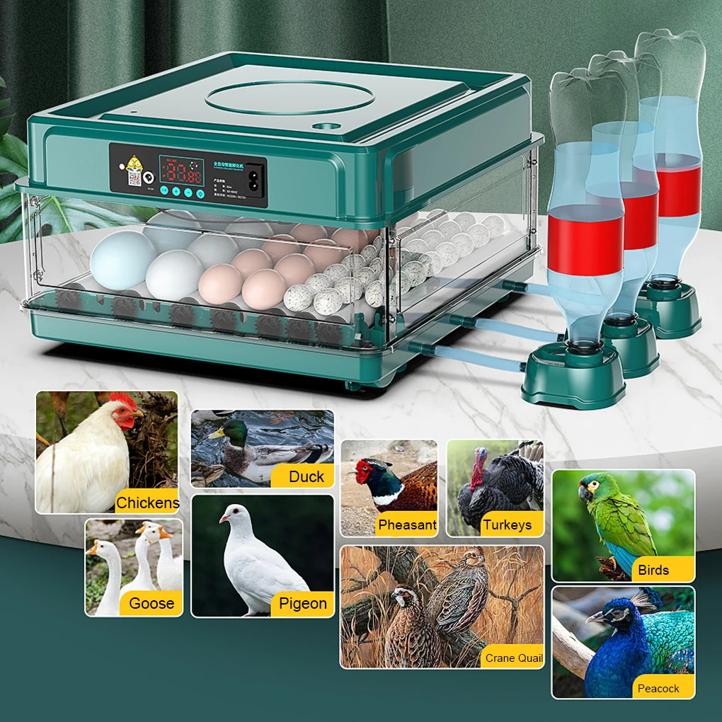 

Eggs Incubator Automatic Professional Lightweight Bird Quail Hatcher with Drawer Auto Turner Equipment Hatchery Tools