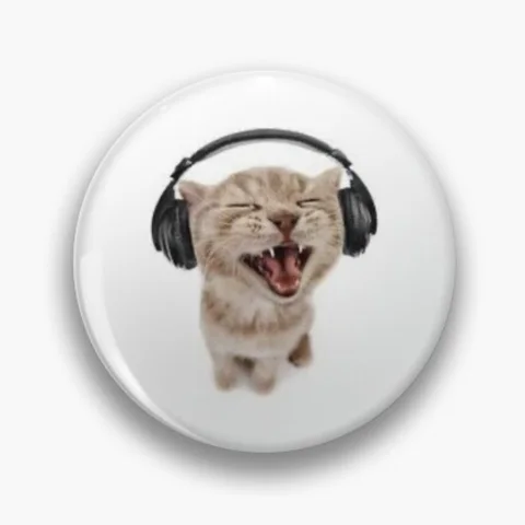 Котик в наушниках мем