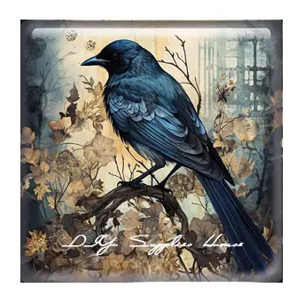 10 шт./Лот готический темно-синий пучук на Хэллоуин Ворон ведьмы квадратный фото
