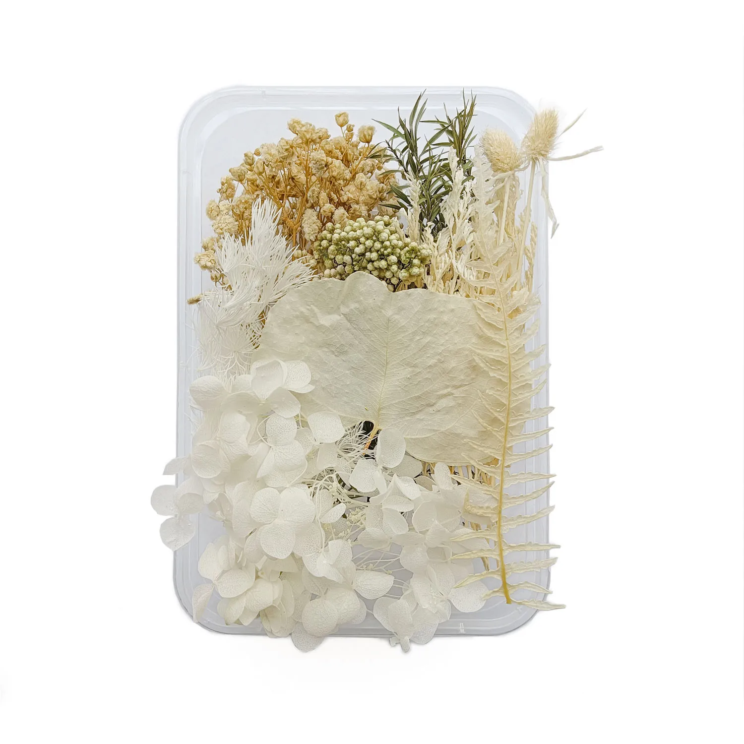 Настоящие натуральные сухие цветы для изготовления искусственной свечи