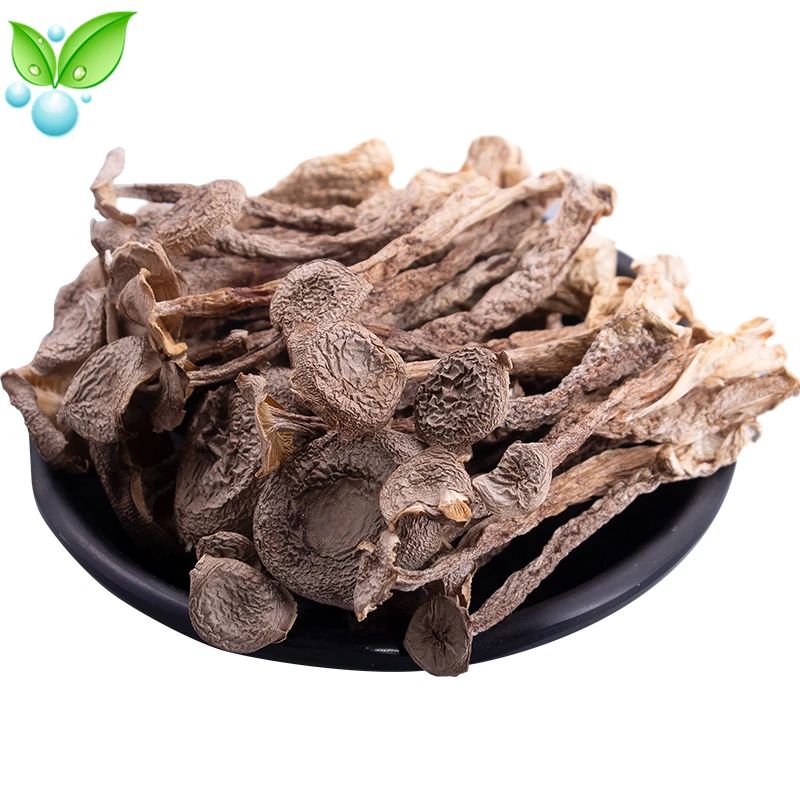 

Бархатный гриб шиитаке, бархатный гриб, бархатные грибы, бархатные рожки, натуральные грибы, бархатный порошок рогов