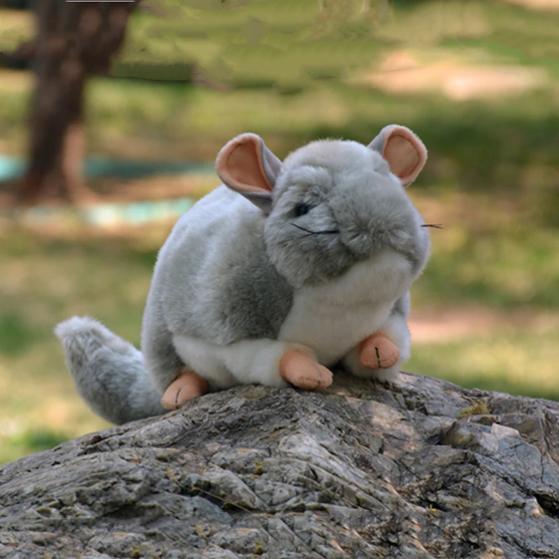 

Realistic Totoro High Fidelity Cute Plushie Chinchilla Plush Toys Lifelike Animals Simulation Stuffed Doll Kawai Toy Gifts Kid