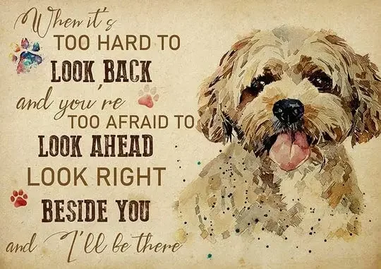 

Металлический знак Cavapoo, когда слишком сложно выглядеть, фотография, винтажный алюминиевый жестяной знак для дома, офиса, кафе, бара, фермы