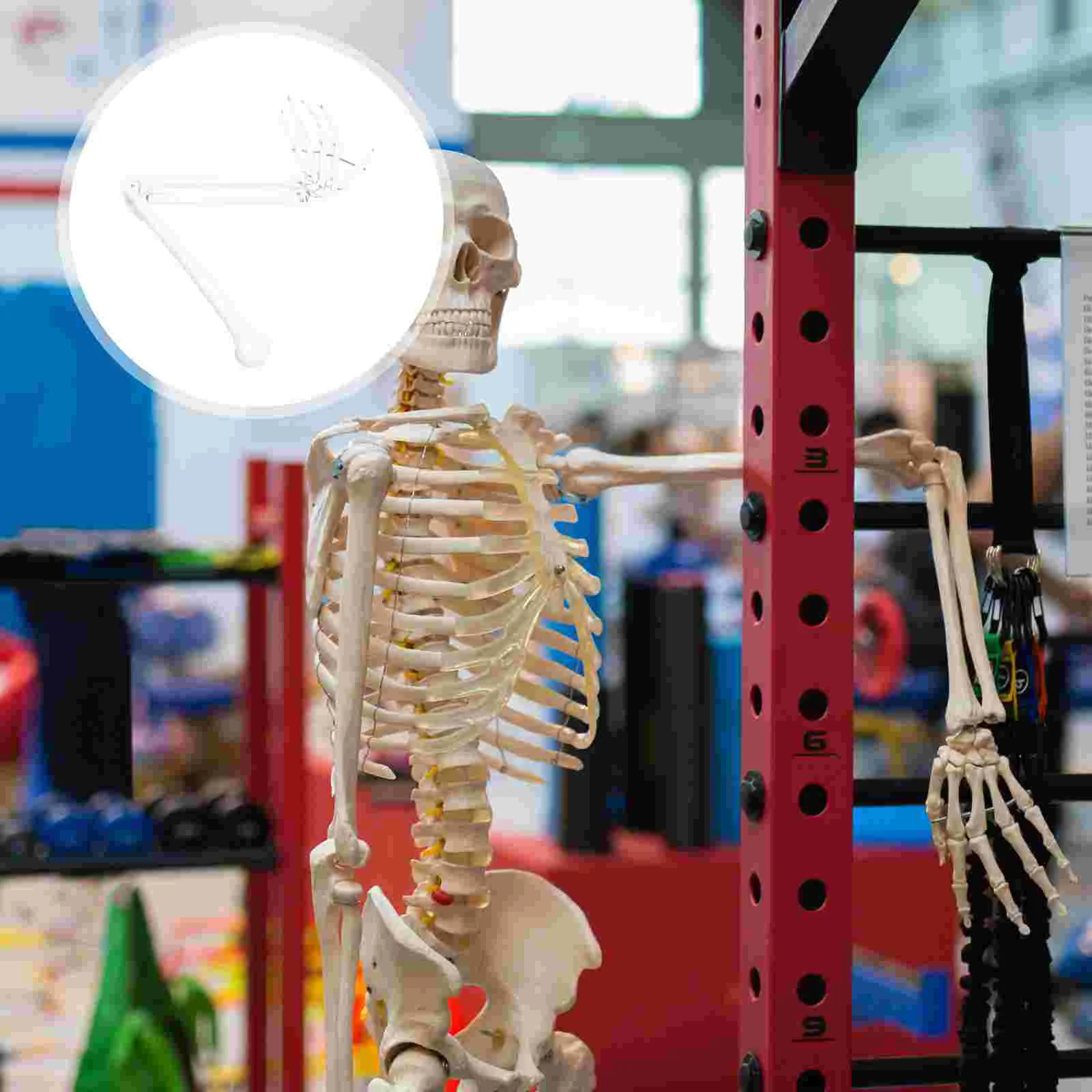 

Hand Joint Model Plastic Medical Teaching Aids Arm Bones Human Scientific Anatomical Manaquin