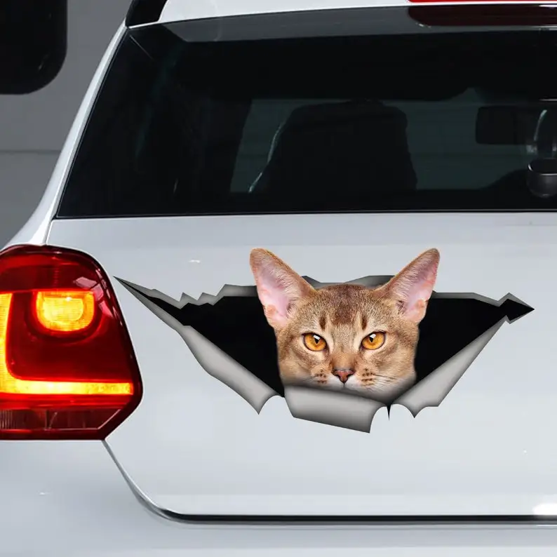 

Cute Abyssinian cat car decal, funny sticker ,Abyssinian cat car magnet